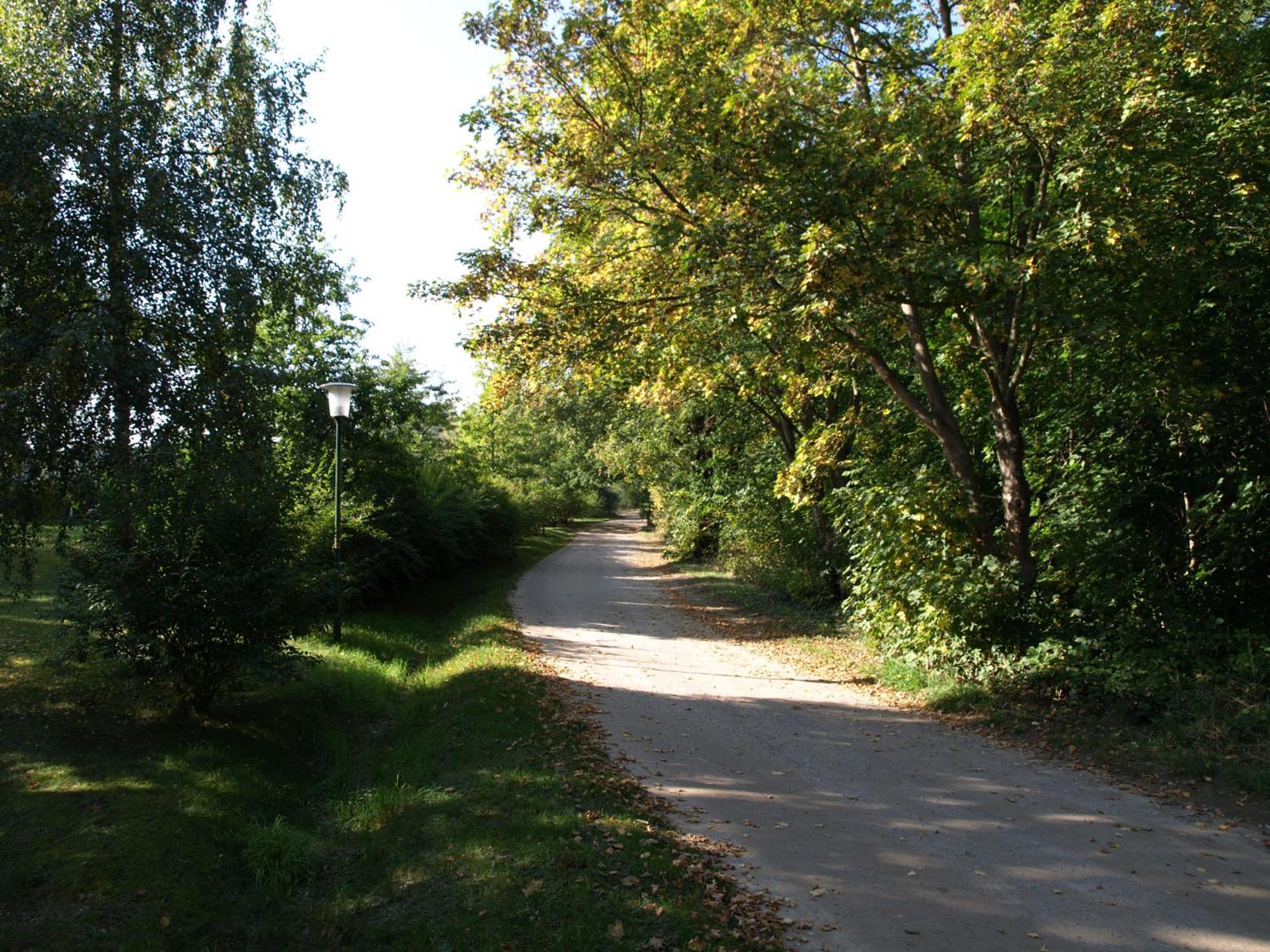Ferienhaus Am Klosterwald Dargun Εξωτερικό φωτογραφία