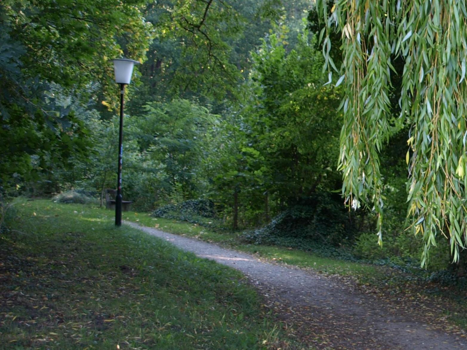 Ferienhaus Am Klosterwald Dargun Εξωτερικό φωτογραφία